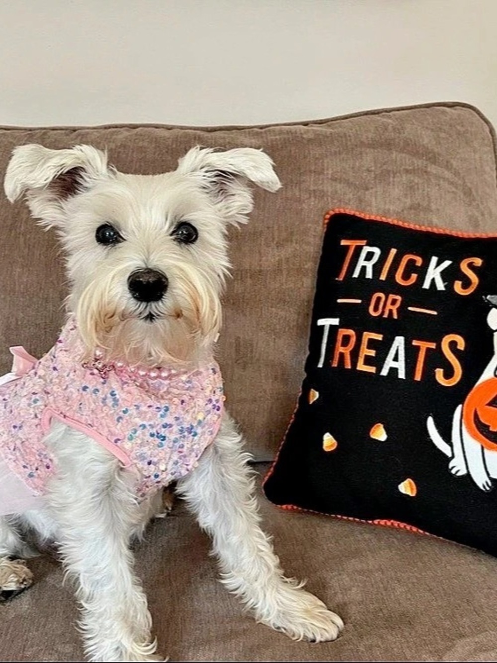 Pink Sequin Dog Dress